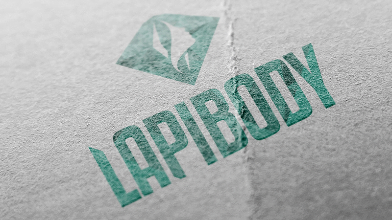 projeto de branding projeto de branding da lapibody